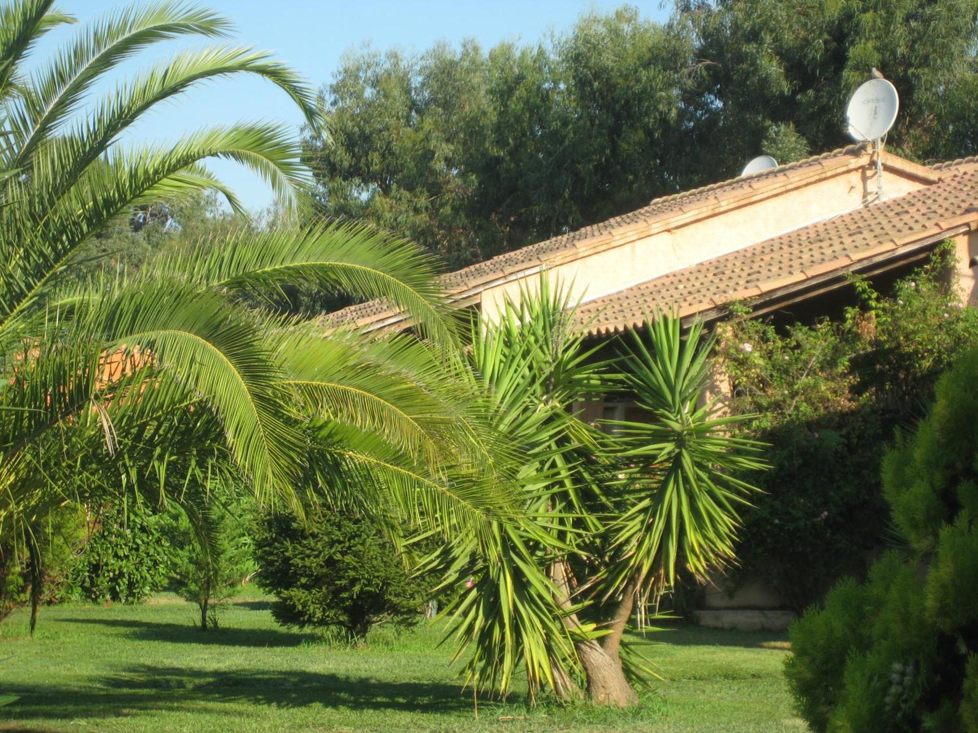 Appartement De Tourisme Marina Corsa
